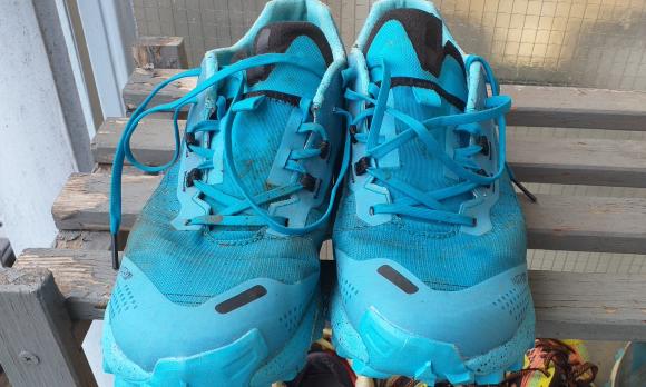 EVADICT RACE LIGHT 2023.jpg