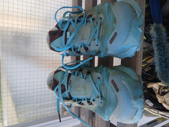 EVADICT RACE LIGHT 2025.jpg