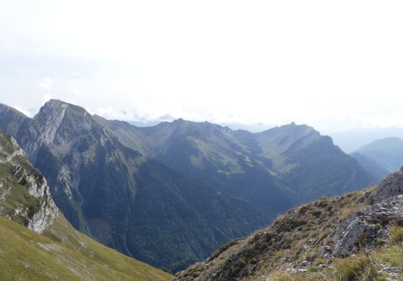 P1660887-2.png