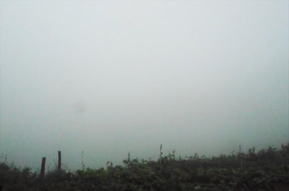 32 Vue sur le Mont Pécloz.JPG