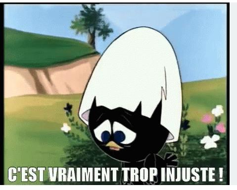 Capture d’écran 2025-11-17 à 09.50.47.png