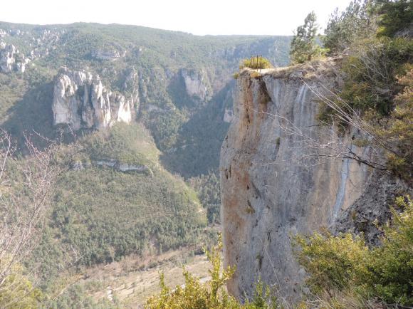 Causse_Mejean_et_Gorges_du_Tarn_195.jpg