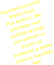 shapeimage_9.png