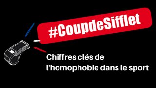chiffres_cles_de_l_homophobie_dans_le-afa71.jpg