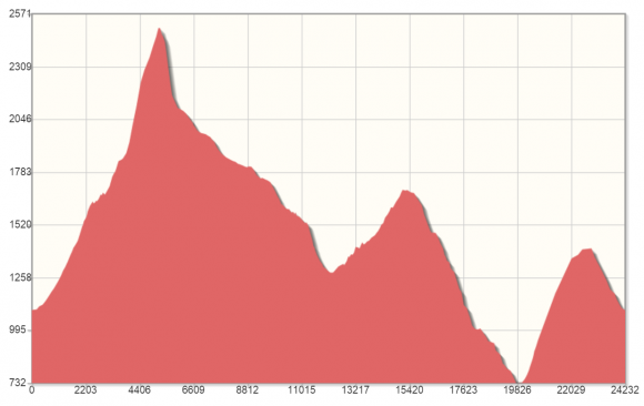profil MORETAN 2.png