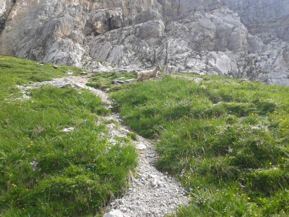 2015-06-21 10.53.38 (Copier).jpg