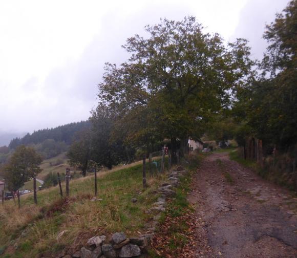 P1020818.JPG