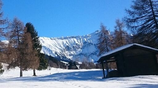 DSC_0186.JPG