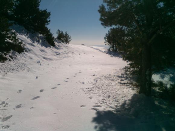 IMG_20160301_111105.jpg