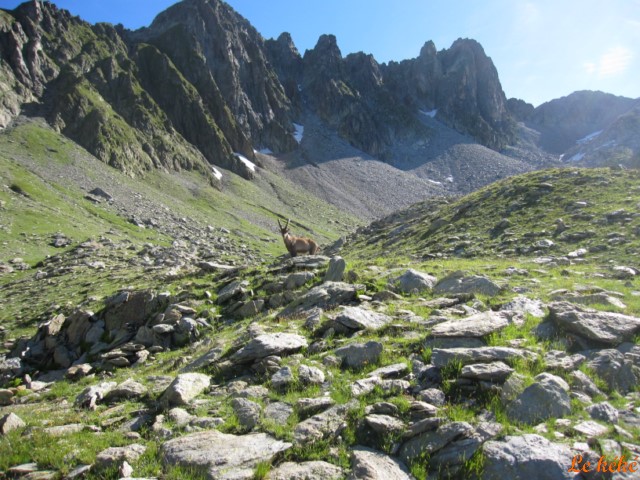 IMG_2723 [640x480].JPG