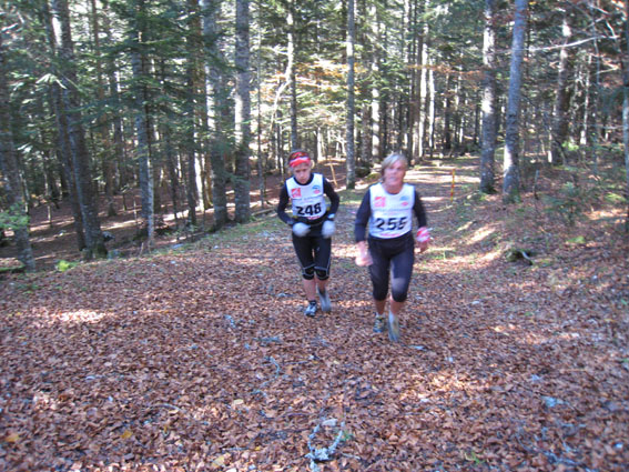 img_0213r.jpg