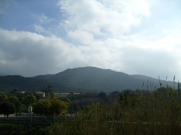 essai_001_30_.jpg