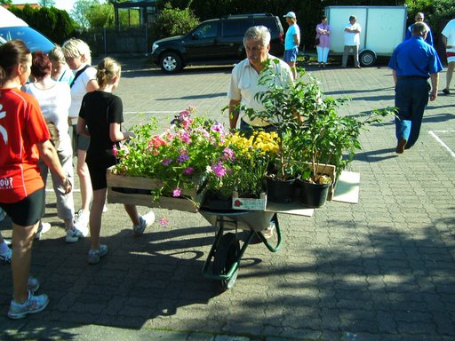 bild0319.jpg