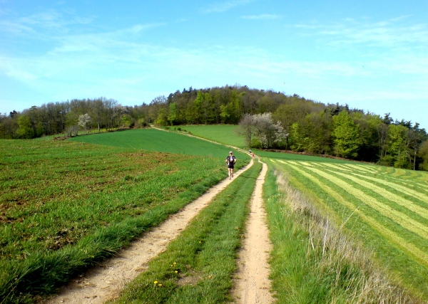 dsc00070_coursieres_2008.jpg