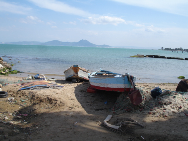 tunisie_100.jpg