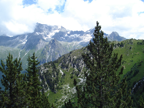 trail_courch10.jpg