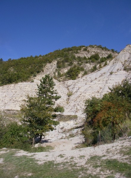 buis-2008_-_34.jpg