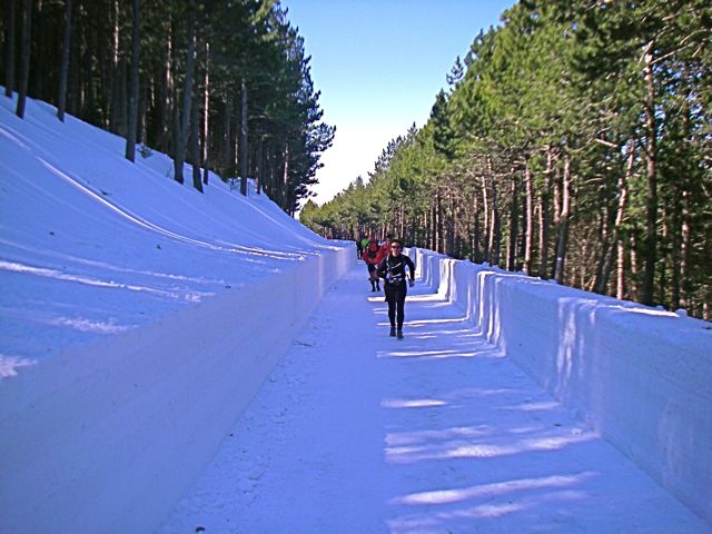 ventoux_17_.jpg