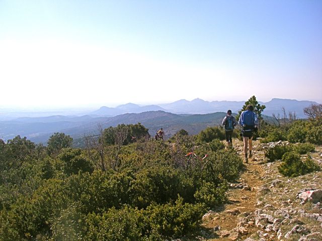 imgp6917_2.jpg
