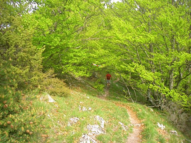 imgp7496.jpg
