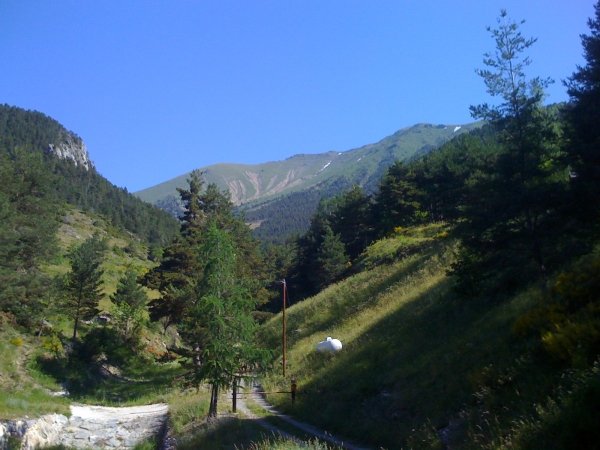 pied_col_de_barn.jpg