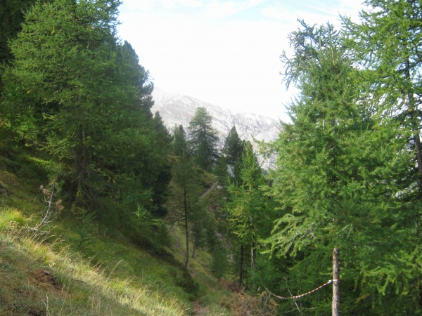 img_0367b.jpg