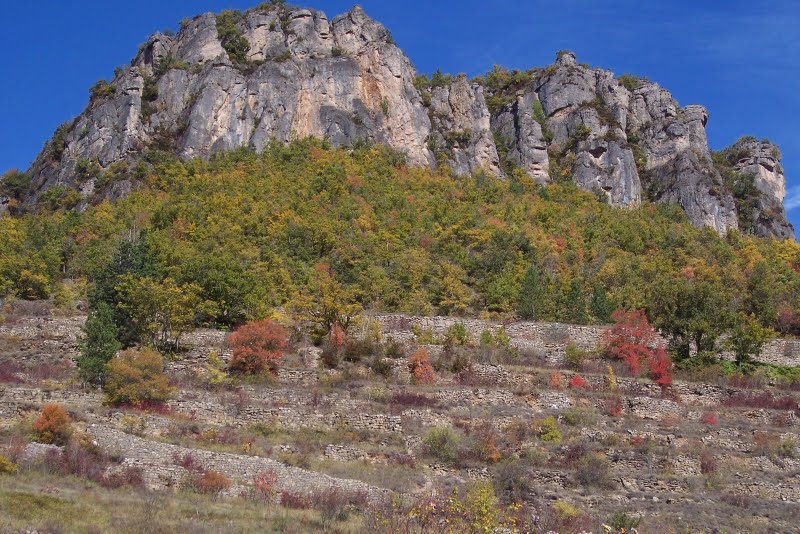 templiers_202009_20022.jpg