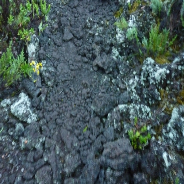 Route volcanique