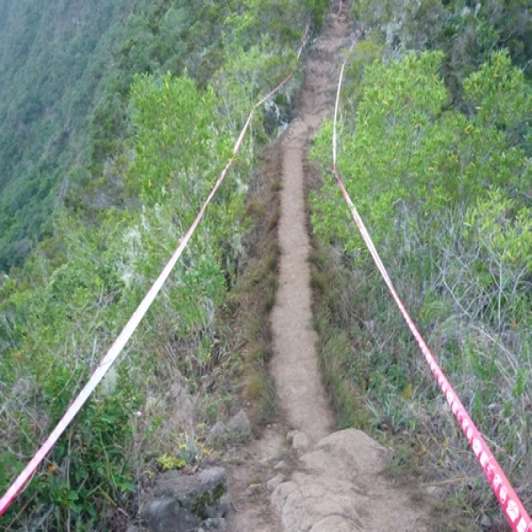 Chemin vertigineux