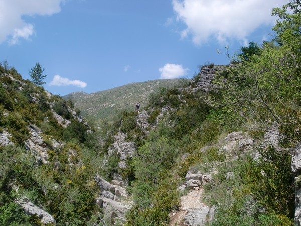 chemin.jpg