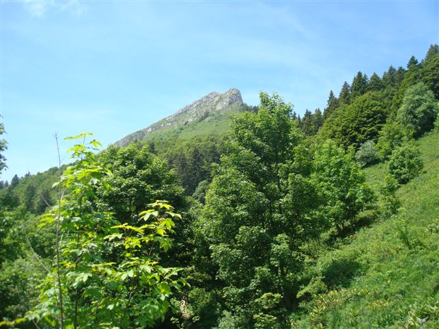 dsc03487.jpg