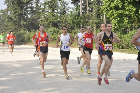 zoom_10kmplanetrunning_pjog3691_1_.jpg