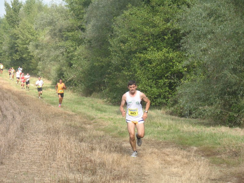 elfe_2011_c.jpg
