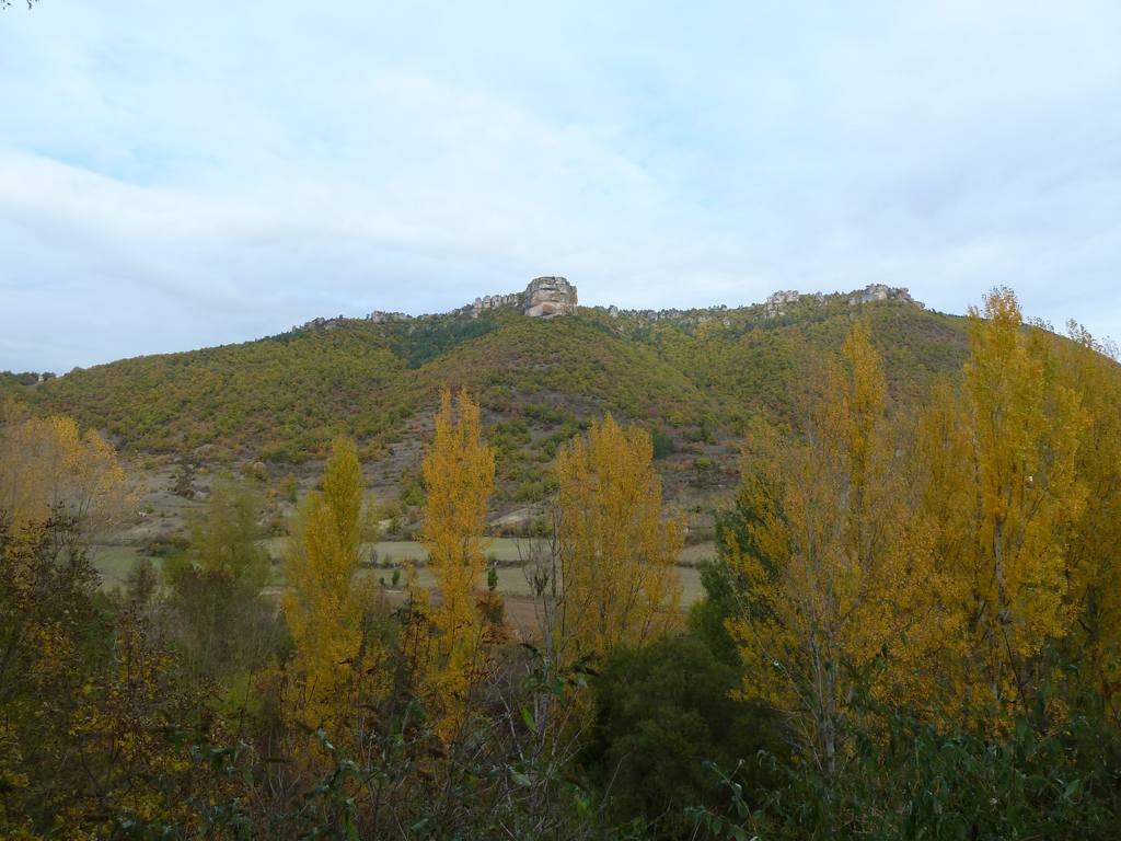 p1030567.jpg