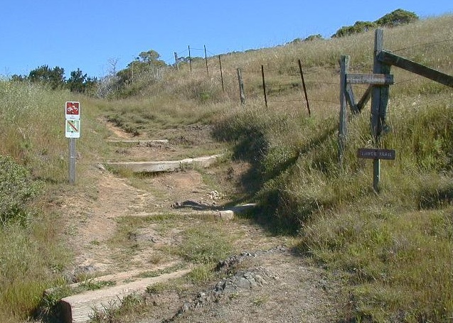 marches_en_bois_dans_miwok_trail.jpg