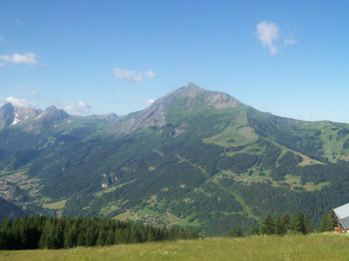 mont joly