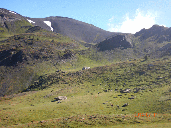 Crête et le sommet