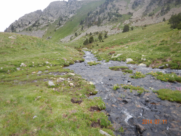 Descente au milieu des ruisseaux