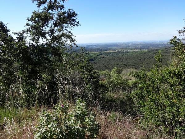 Vue vers le Sud et la Grande Bleue