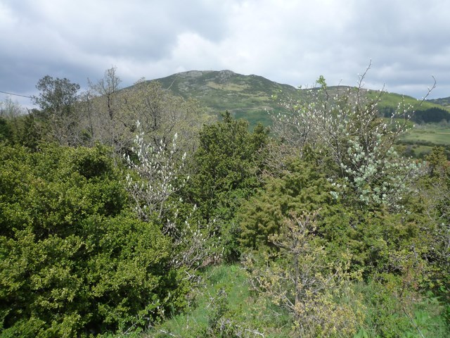 Sommet de la Croix de Marcou pris depuis les antennes (photo prise lors d'une reco)