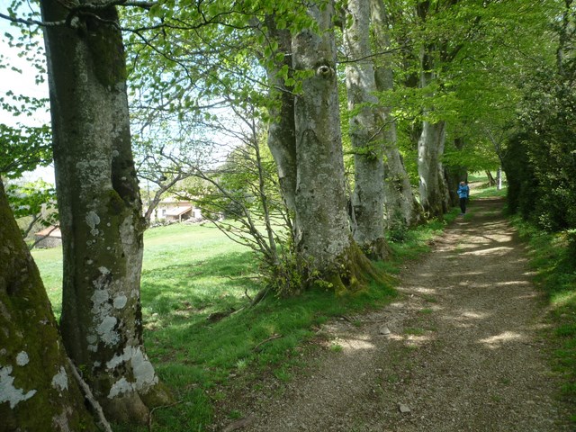 Avant la Croix de Marcou (photo prise lors d'une reco)