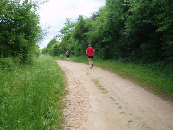 Dernier sous-bois avant la civilisation