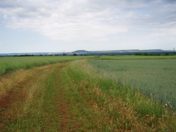 Plateau au dessus de Fontenoy