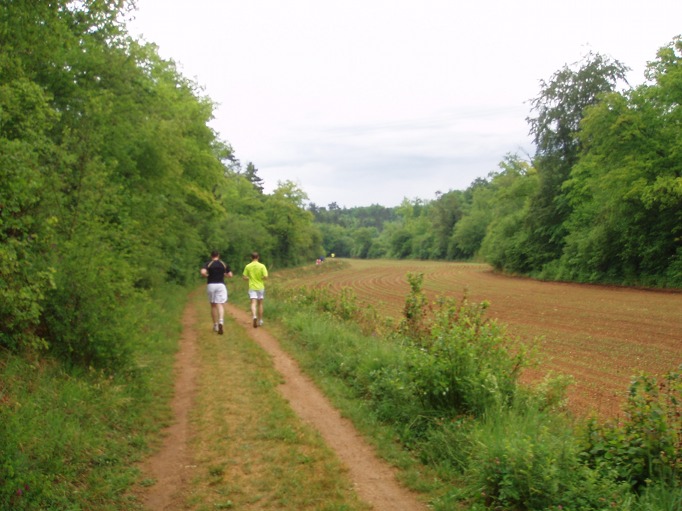 km6 - Culture dans la vallée