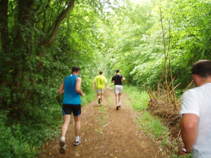 Montée en sous-bois