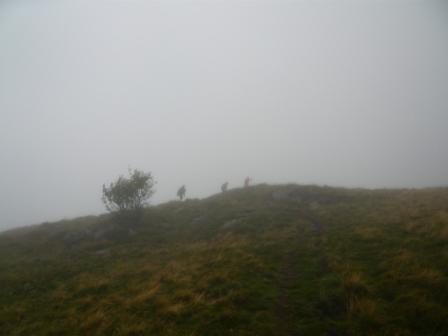 ultra_trail_du_sancy_sept_2008014.jpg