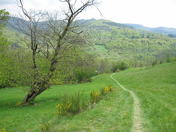 descente2partie.jpg