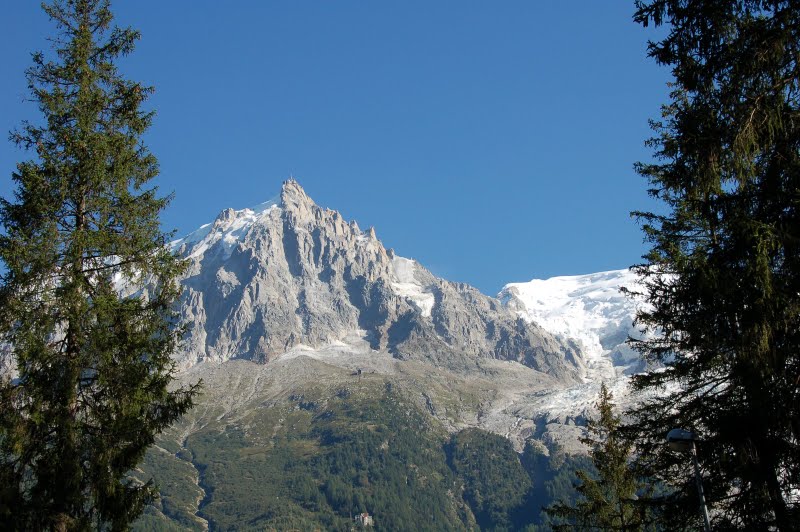 une_vue_d_en_bas.jpg